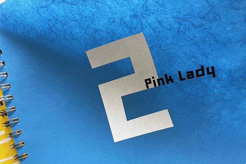 Le « livre d’art » de Jessica Stockholder